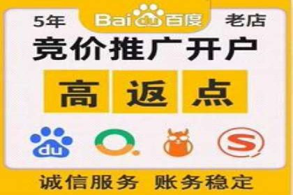 SEM竞价技巧：成功案例揭秘